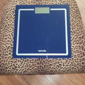 Taylor Blue Glass Digital Scale